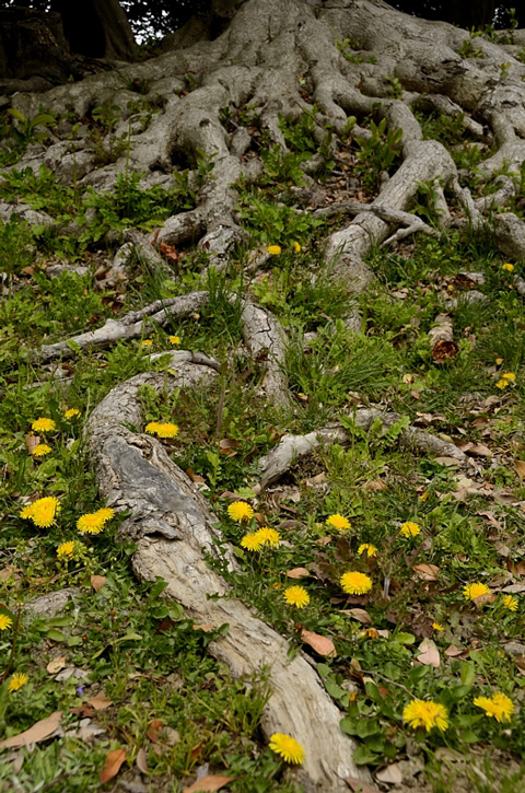 f0108478_21275139.jpg