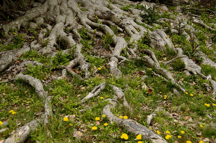 f0108478_21283867.jpg