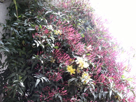 b0204586_547014.jpg