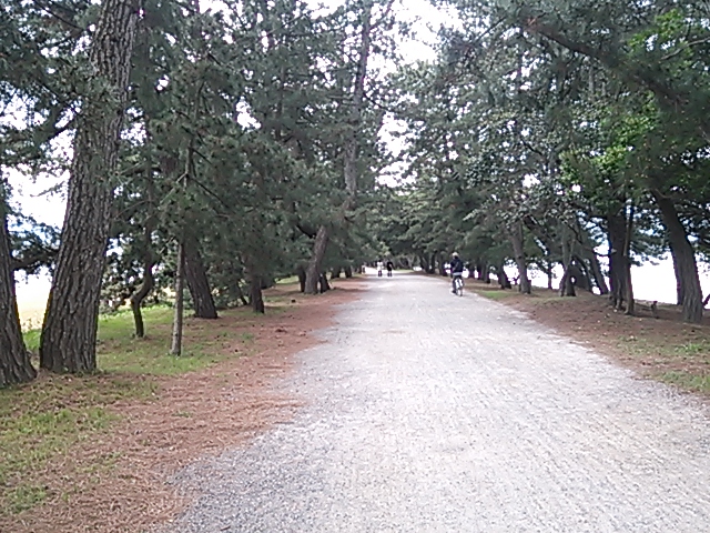 c0204188_13173650.jpg