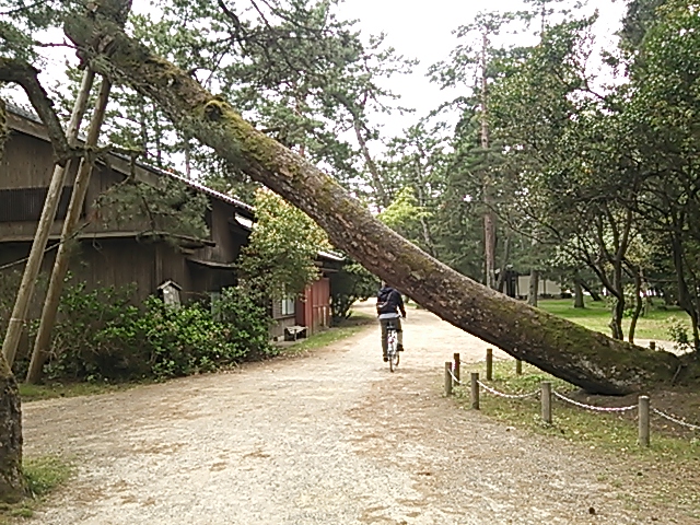 c0204188_13175217.jpg