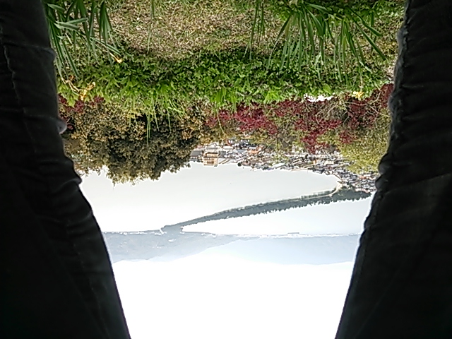 c0204188_13331336.jpg