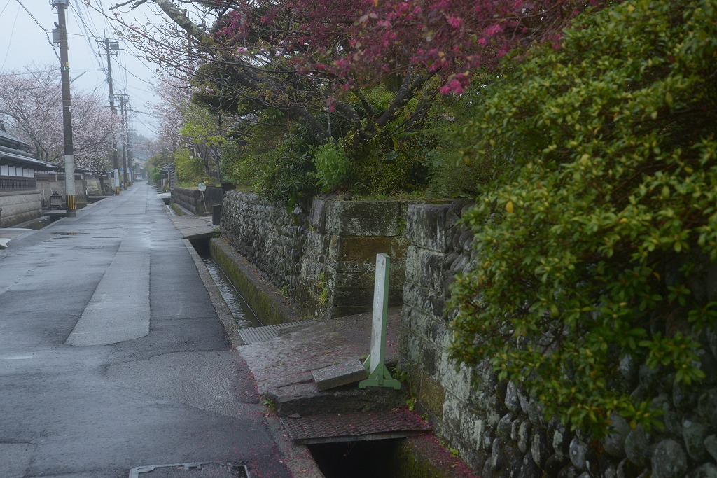 c0240388_1157559.jpg