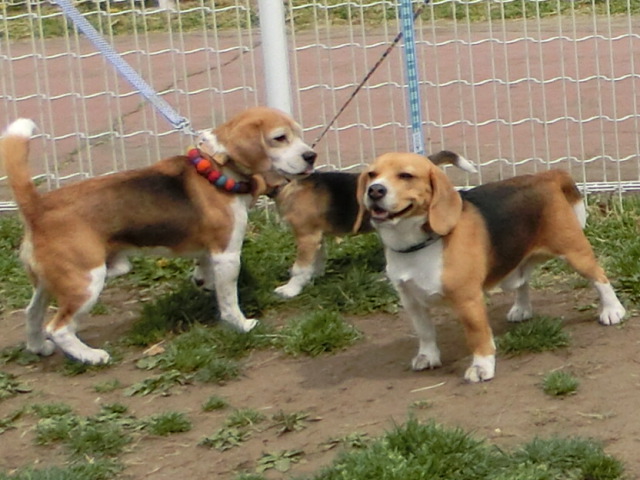 a0319693_15113623.jpg