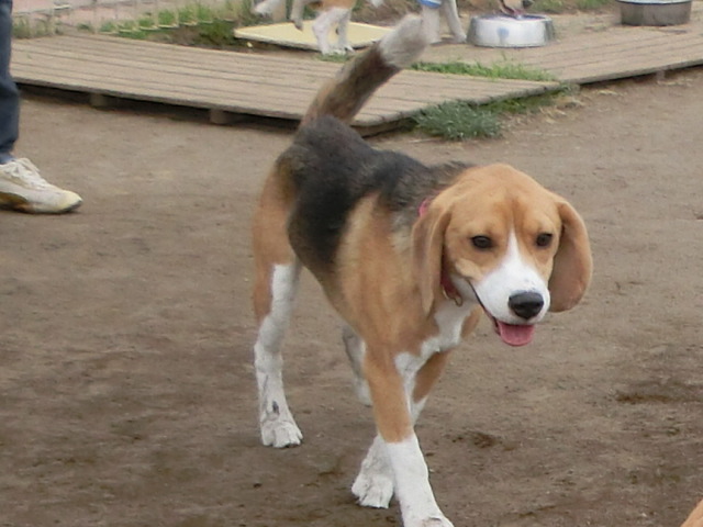 a0319693_1562583.jpg
