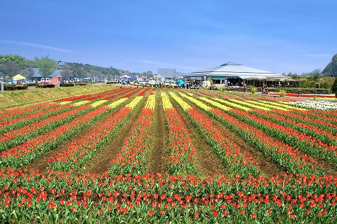 a0222494_20142186.jpg