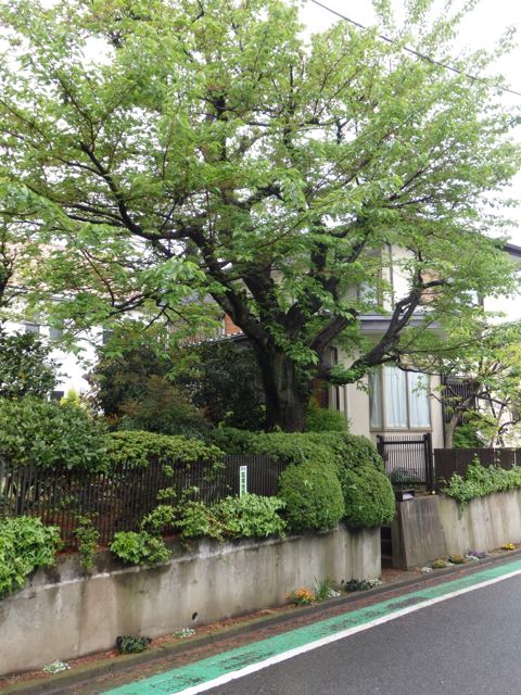 f0130894_19574972.jpg