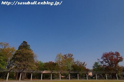e0145805_1813975.jpg