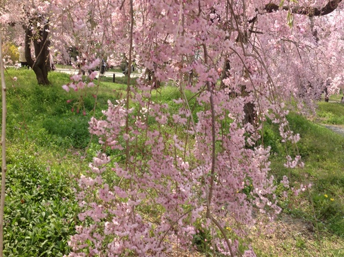 a0019212_9391265.jpg