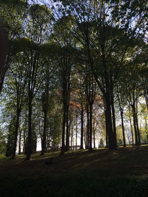 c0026612_1414478.jpg