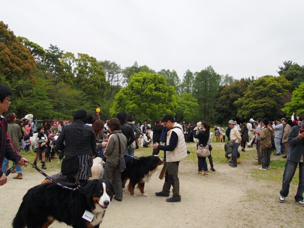 c0181414_13264970.jpg
