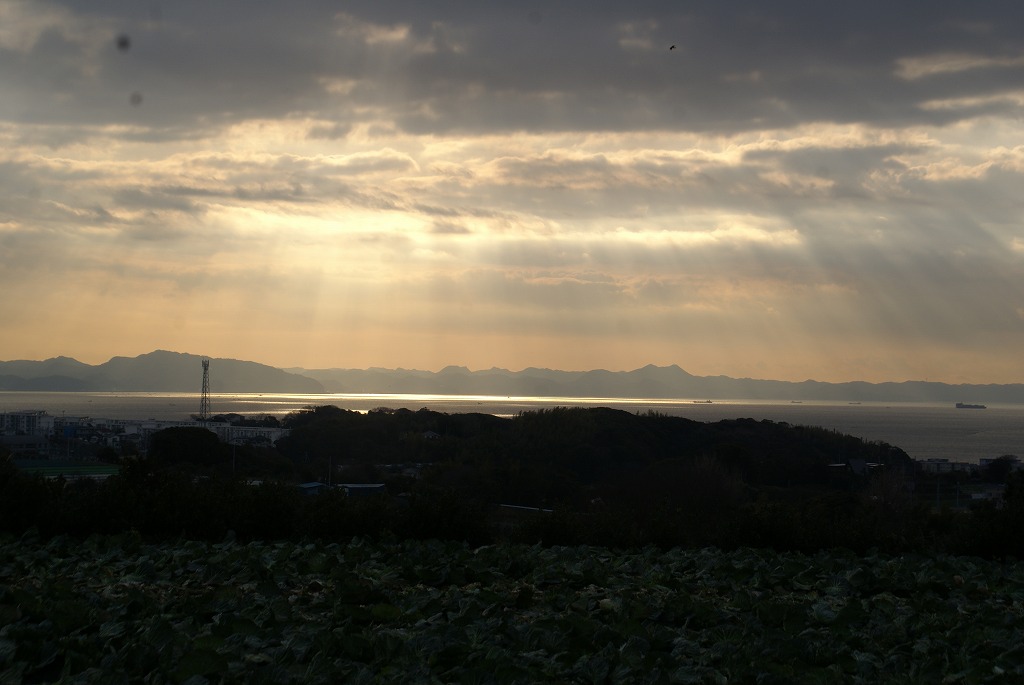 c0172517_12425886.jpg