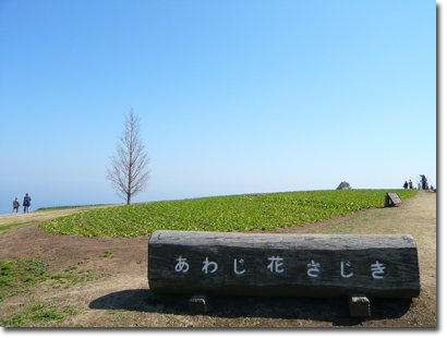 b0019820_2039614.jpg