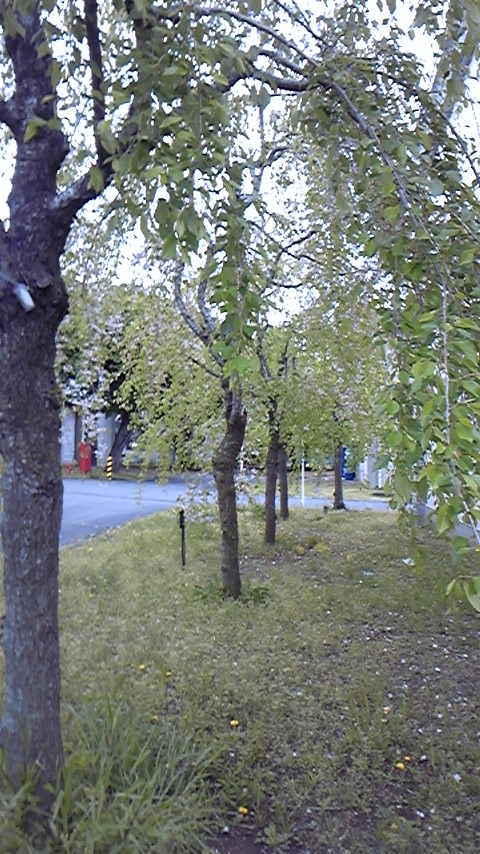 c0038722_10471796.jpg