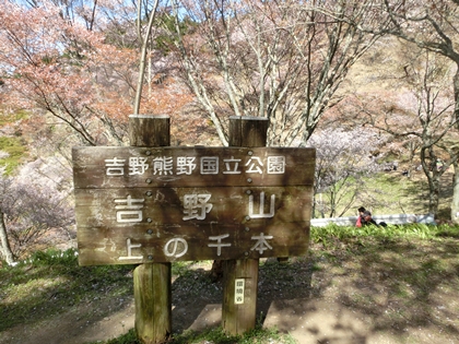 a0105023_794998.jpg