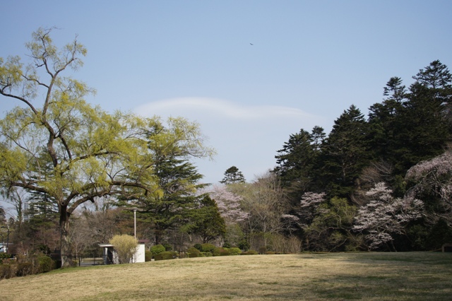 a0304423_00142651.jpg