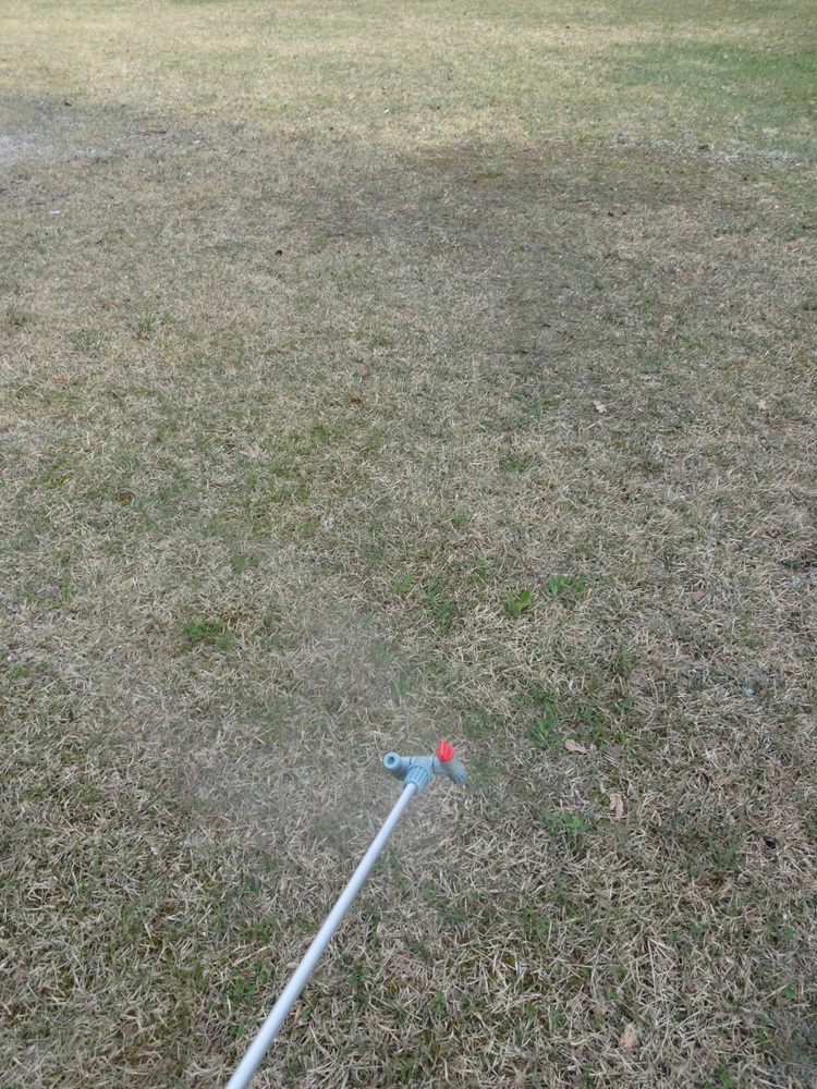 c0111229_18304645.jpg