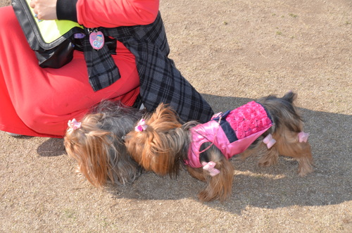 f0124830_020126.jpg