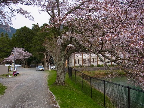 b0191932_754229.jpg