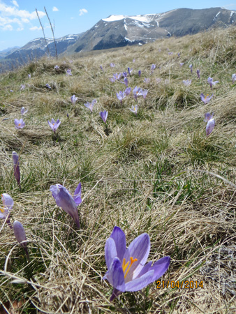 f0234936_6263683.jpg