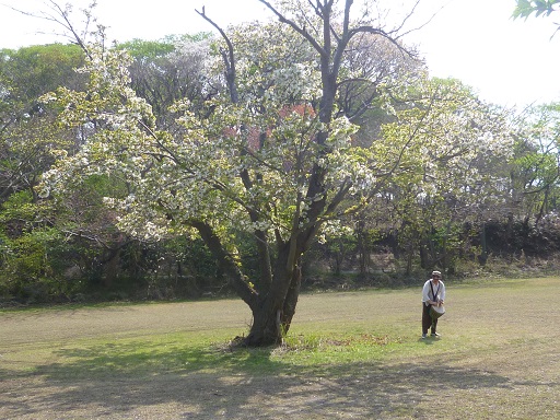 b0135942_1225992.jpg
