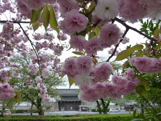 c0225153_18265330.gif