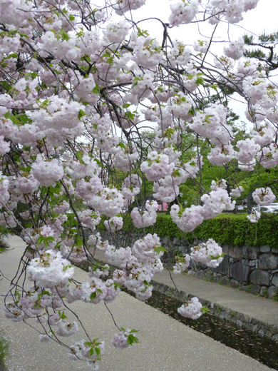 c0225153_18285271.gif