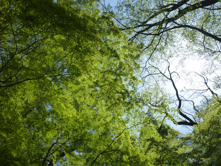 c0225153_7291229.gif