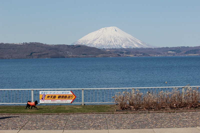 b0250154_23183142.jpg