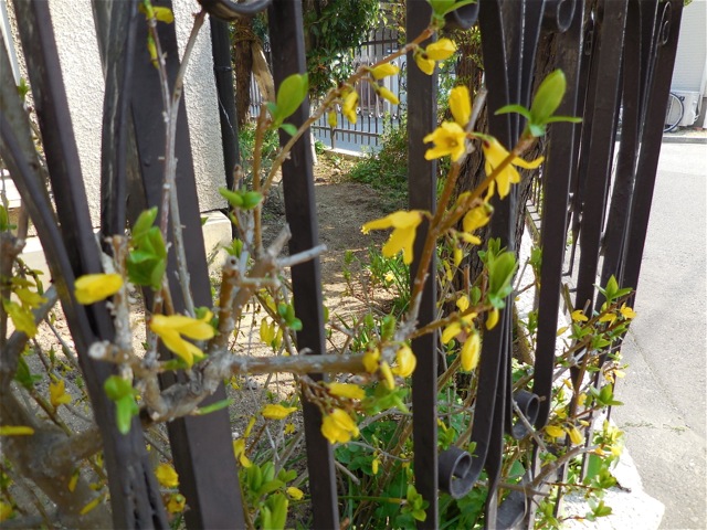e0060374_923168.jpg