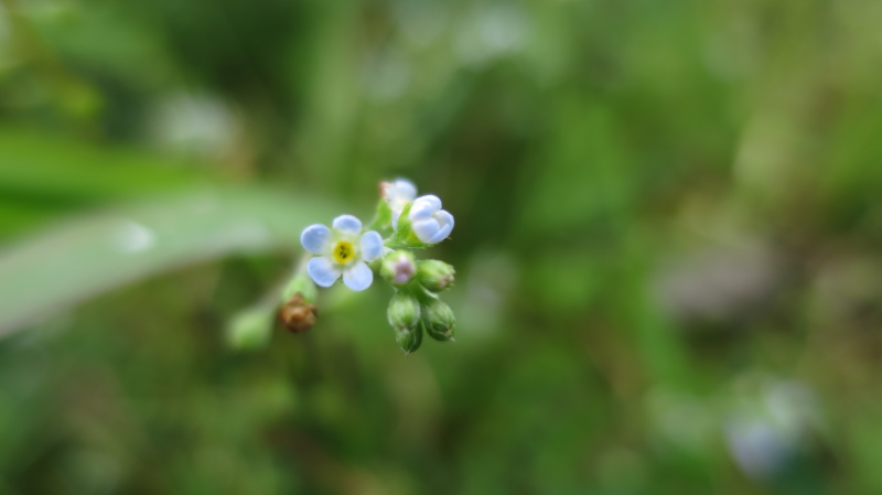 e0024081_13372220.jpg