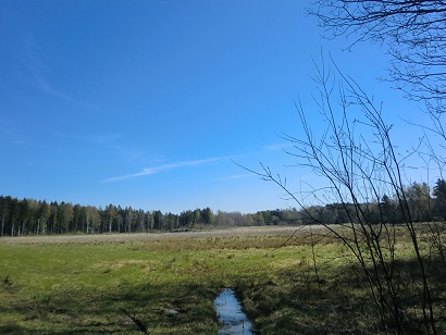 a0066586_5323423.jpg