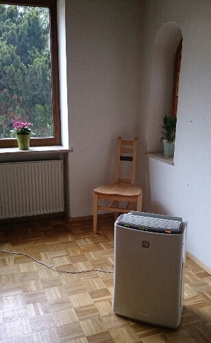 b0169887_357296.jpg