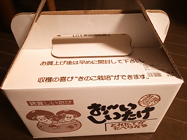 c0204188_1428369.jpg