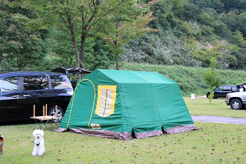 e0229992_163273.jpg