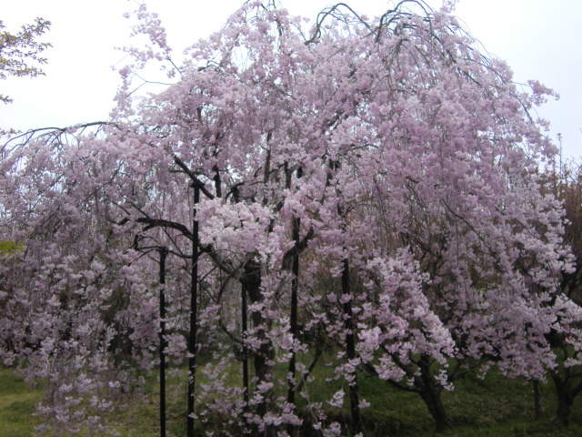 b0044296_22474485.jpg