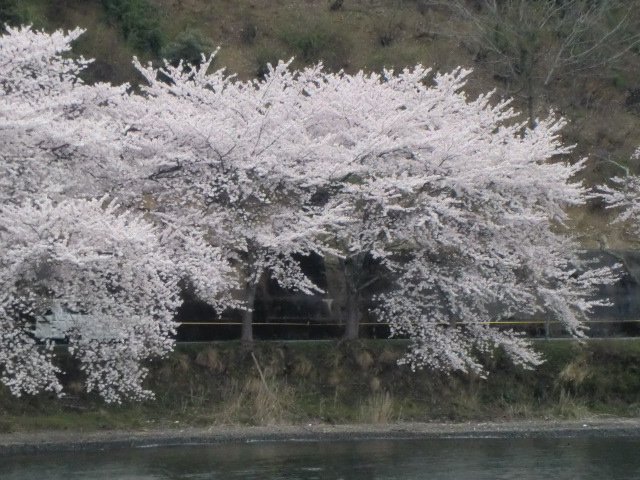 b0044296_2331021.jpg
