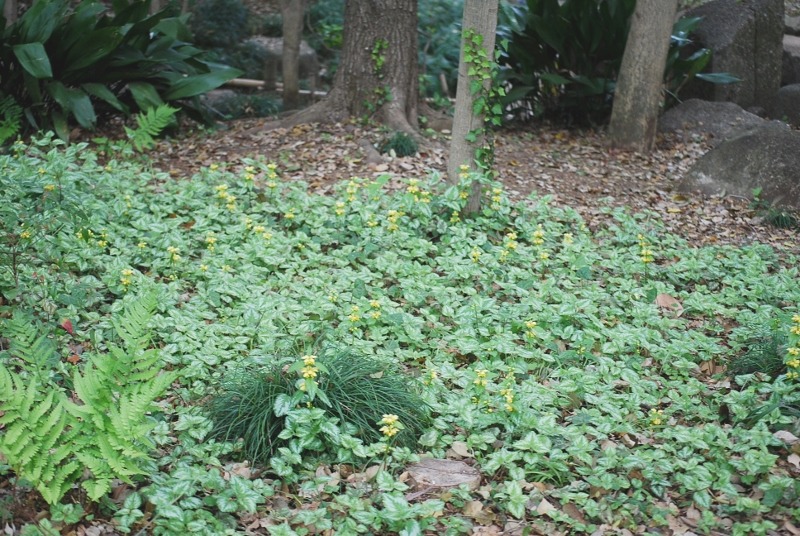 e0025300_1432153.jpg