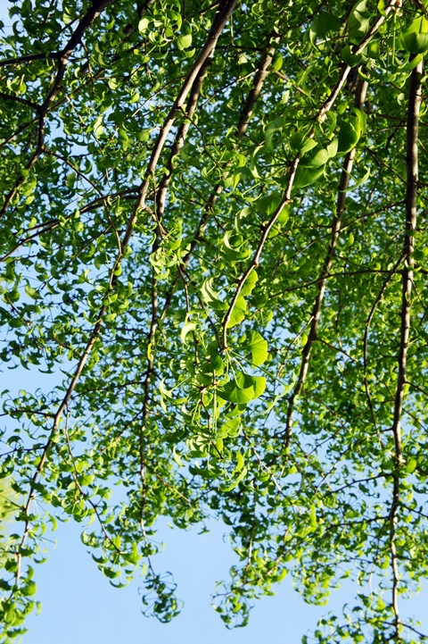 e0277800_10354230.jpg