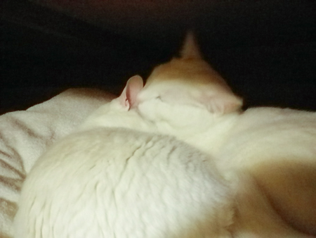 f0239100_2250596.jpg