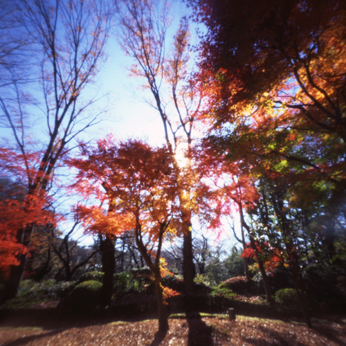 c0016712_1536228.jpg