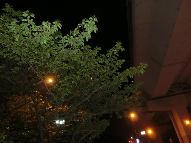 c0238519_23251164.jpg