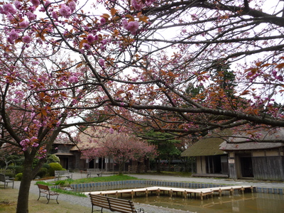 e0135219_9455180.jpg