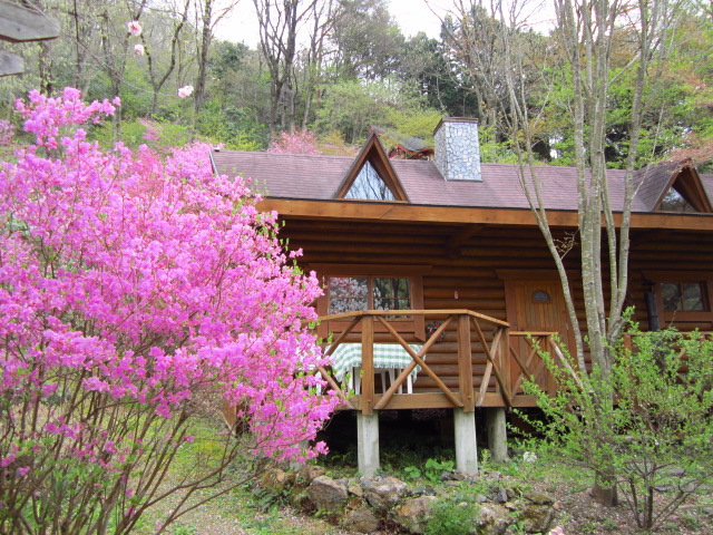 f0319323_22205854.jpg