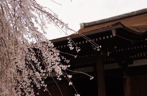 c0235725_96613.jpg