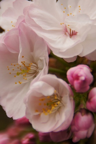 c0235725_991061.jpg