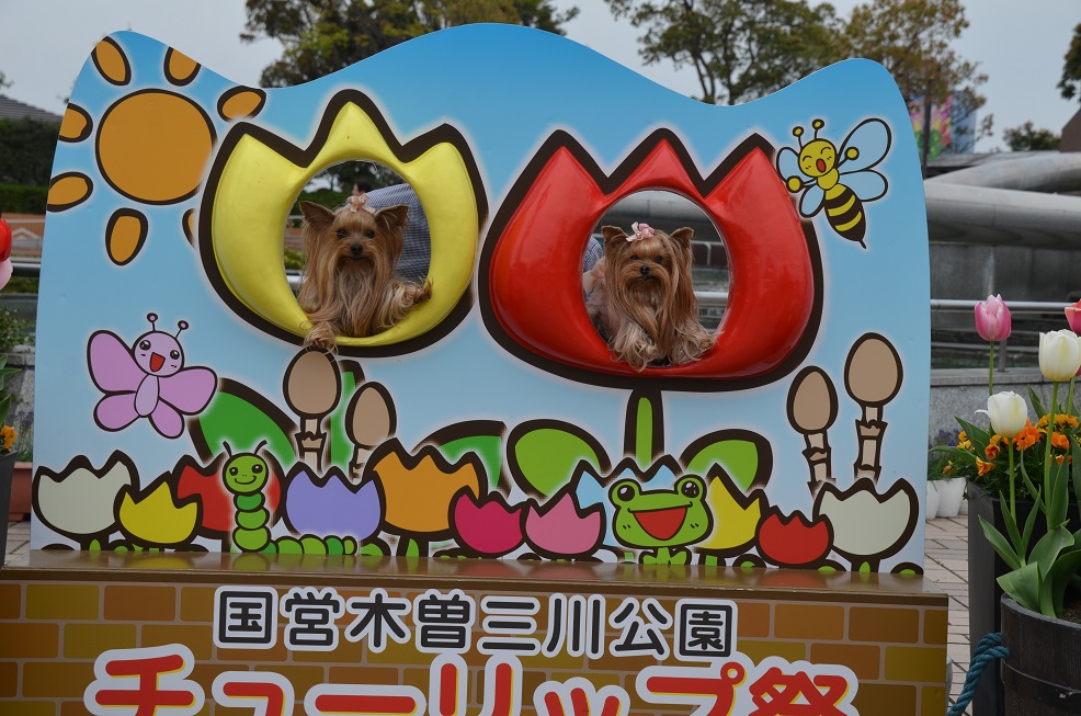 f0124830_2216662.jpg