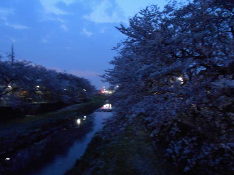 a0095931_19205376.jpg