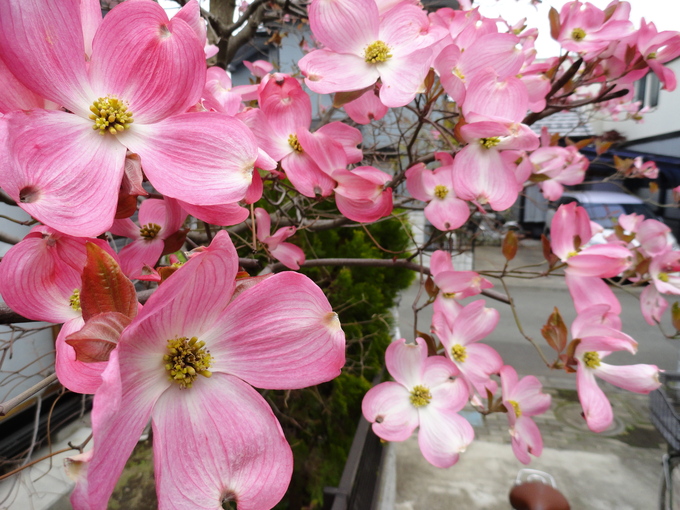 f0238932_20113117.jpg