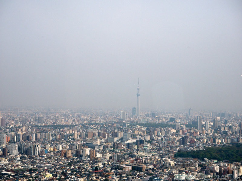 c0133533_2331394.jpg